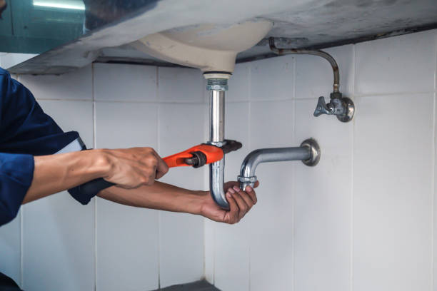 Best Drain Cleaning Services  in West Hammond, NM