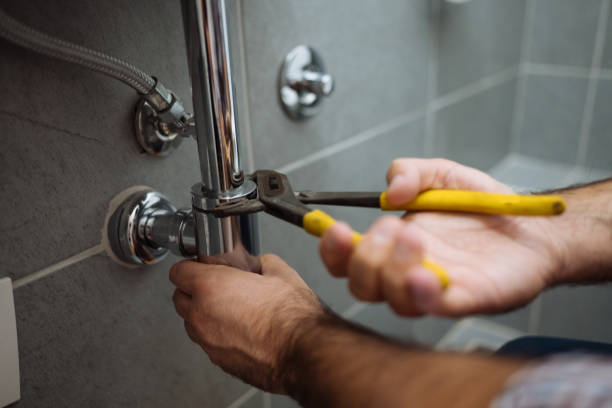 Best Plumbing Services Near Me  in West Hammond, NM